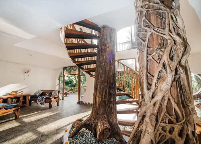 Villa Nautilus Treehouse